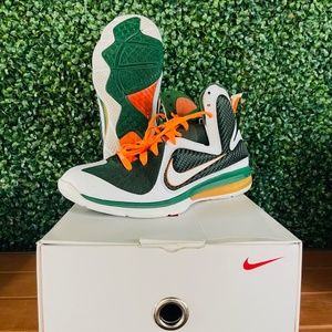 Lebron 9 Hurricanes